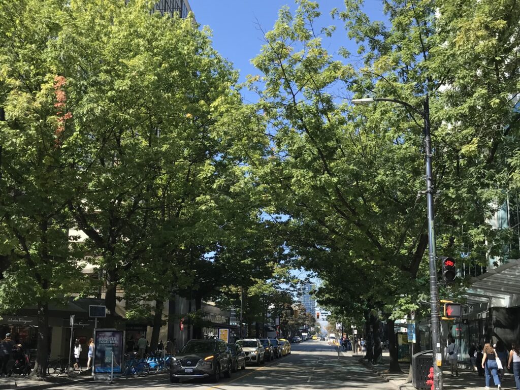 ロブソンストリート